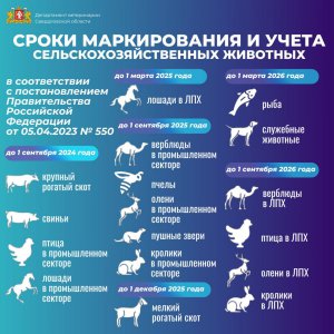 Памятка по маркированию и учету животных
