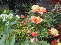 20150903_145731.jpg